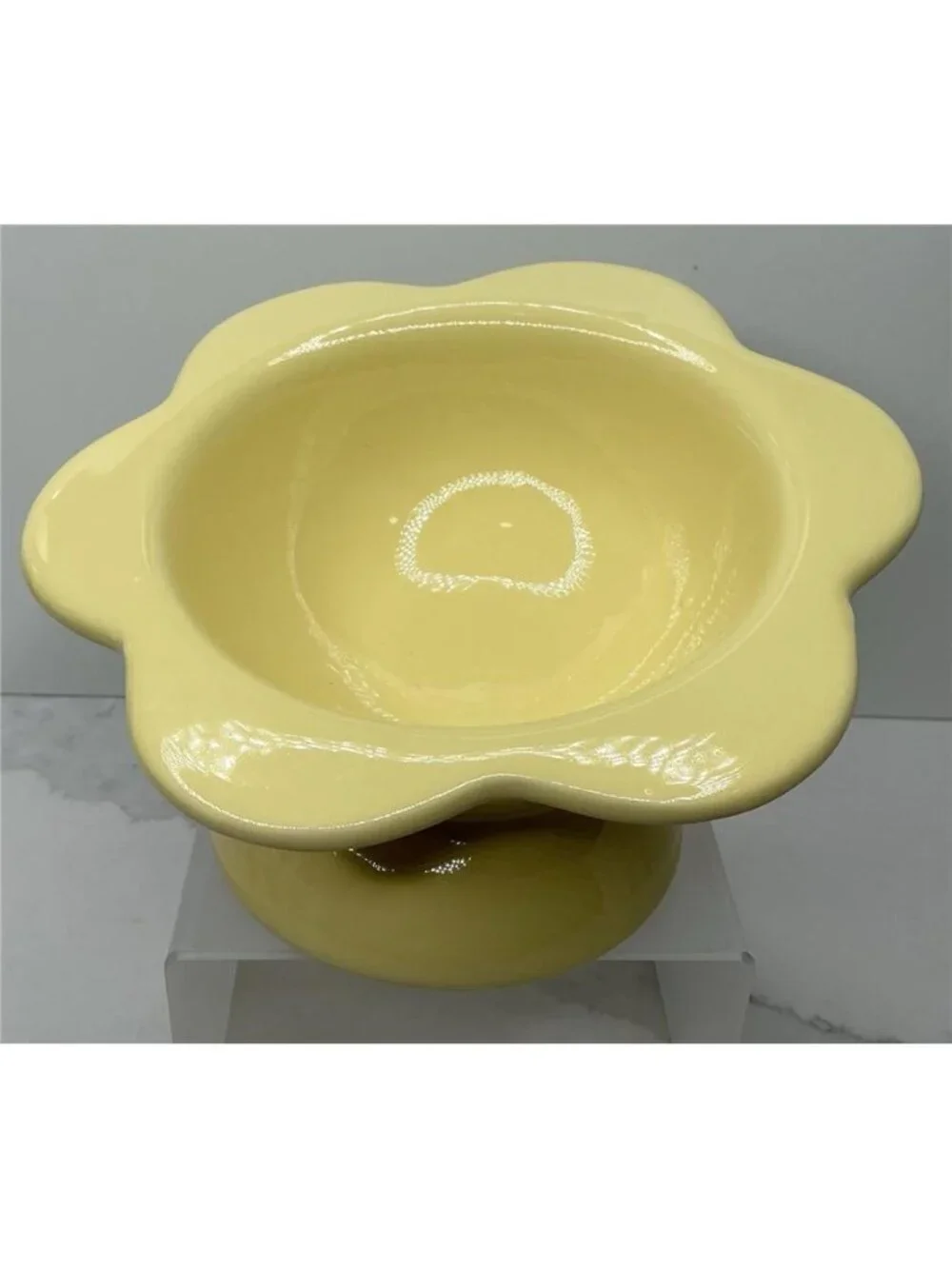 Rare Rockybear Pets Ceramic Food Bowl Elevated 4